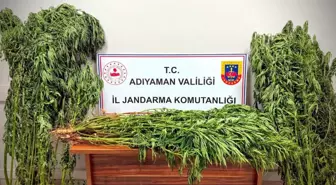 Adıyaman'da Uyuşturucu Operasyonu: 9 Kişi Gözaltında