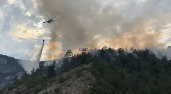 Karabük'teki Orman Yangını 3 Saatte Kontrol Altına Alındı