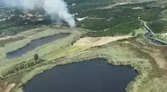 Köyceğiz'de Sazlık Yangını Kontrol Altına Alındı