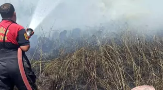 Muğla'daki Sazlık Yangını Kontrol Altına Alındı
