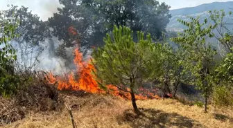 Sakarya'da Makilik Alanda Çıkan Yangın Kısa Sürede Söndürüldü