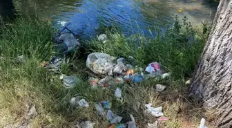 Kurtboğazı Barajı'na Giden Dereler Çöplüğe Dönüşüyor