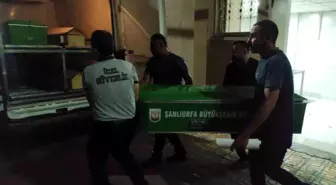 Şanlıurfa'da Bıçaklı Kavga: 30 Yaşındaki Genç Hayatını Kaybetti