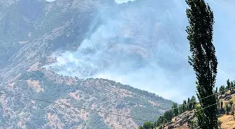 Şırnak'ta Orman Yangını: Kontrol Altına Alınamadı