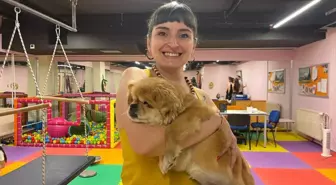 Görme Yetisini Kaybeden Köpeği Sahiplendi