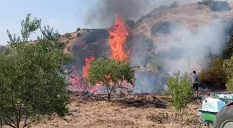 Manisa'da Tarım Arazisindeki Yangın Kontrol Altına Alındı