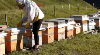 Tunceli'de 2025 Yılı Bal Alım Fiyatları Açıklandı