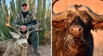 ABD'li milyarder avcı, 1.5 tonluk buffalo tarafından öldürüldü