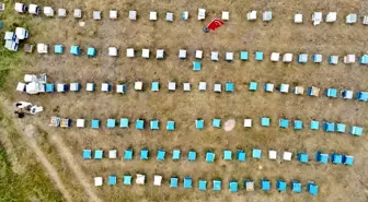 Ağrı'da Kadınlar Arıcılığa Yöneliyor