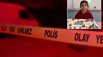 Ailesiyle pikniğe giden 8 yaşındaki Elif, Hezil Çayı'nda hayatını kaybetti