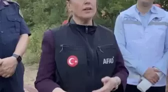 Bartın'da Orman Yangını: 1 Yaralı, 14 Kişi Tahliye Edildi