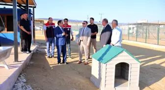 Bayburt'ta Hayvan Bakım Evi ve Doğal Yaşam Alanı İncelemesi
