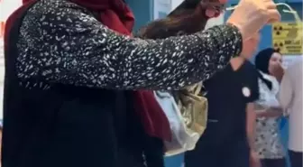 Tavuğuna Röntgen İsteyen Kadın Hastanede Gündem Oldu