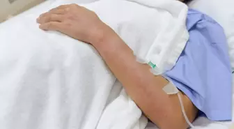 Chikungunya virüsü yayılıyor! Çin'de vakalar 7 bini geçti, karantinalar başladı