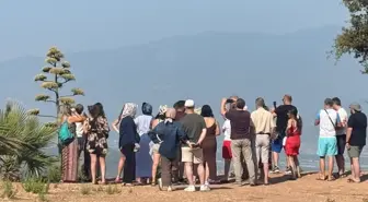 Görüntü Türkiye'den! 30 yıl sonra bir ilk yaşandı, görmek için akın ettiler