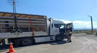 Erzurum'da Düzensiz Göçmen Operasyonu: 24 Yakalandı
