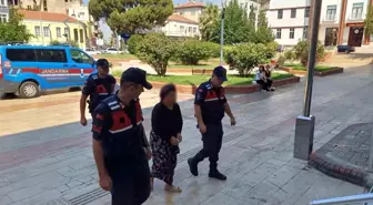 Arazi Anlaşmazlığı Yangına Sebep Oldu: Şahıs Adliyeye Sevk Edildi