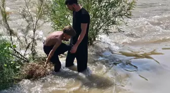 Siirt'te Akıntıya Kapılan 3 Çocuktan 1'i Kayboldu