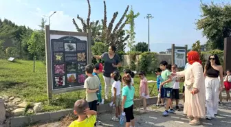 Düzce Üniversitesi Çocuk Kampüsü Öğrencileri Botanik Bahçesi'nde Doğayı Keşfetti
