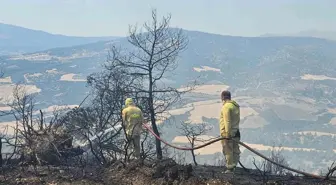 Denizli'de Yıldırım Düşmesi Orman Yangınına Neden Oldu