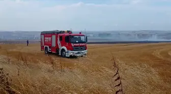 Silivri'de Otluk Alanda Yangın Çıktı