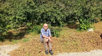 Giresun Ziraat Odası'ndan Fındık Fiyatı Uyarısı