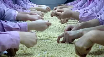 Düzce'den 7 Ayda 14 Bin 348 Ton İç Fındık İhraç Edildi