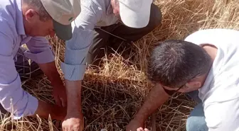 Kütahya'da Dolu ve Sel Afeti Sonrası Hasar Tespit Çalışmaları Başladı