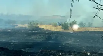 Batman'da Anız Yangını 100 Dönüm Alanı Yakıp Geçti