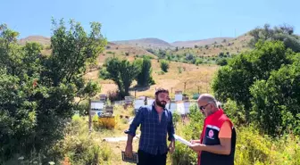 Bayburt'ta Arılı Kovan Desteklemesi Çalışmaları Başladı