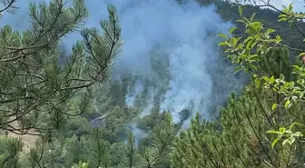Bolu'daki Orman Yangını 1,5 Saatte Kontrol Altına Alındı