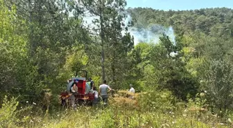 Bolu'da Orman Yangınına Hızla Müdahale Ediliyor