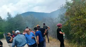 Kastamonu'da Orman Yangını Kontrol Altına Alındı