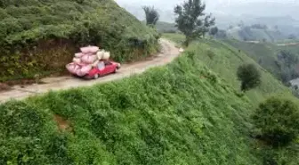 Otomobiliyle Çay Taşıyan Çiftçi, Dronla Görüntülendi