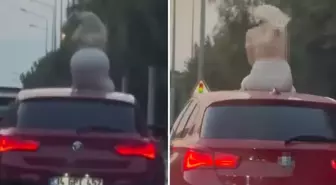 Otomobil üzerinde dans eden kadına ceza