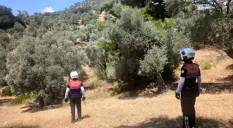 Aydın'da Orman Yangınlarına Karşı Jandarma Keşif ve Gözetleme Faaliyetleri Sürüyor