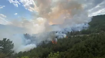 Karabük'te Yangınla Mücadele Devam Ediyor