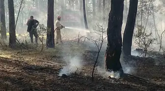Kastamonu'da Orman Yangını Hızla Söndürüldü