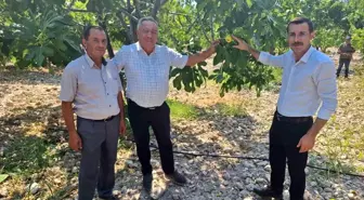 Kaymakam Polat, İncir Üreticileriyle Bir Araya Geldi