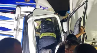 Kocaeli'de Trafik Kazasında Genç Şoför Hayatını Kaybetti