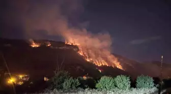 Karabük'te Orman Yangını: 9 Saat Süren Mücadele Devam Ediyor