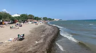 Şarköy'de Denize Girenler Uyarıldı
