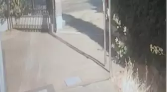 Tuzla'da Kız Öğrenciye Çarpan Sürücü Tutuklandı