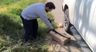 Yüksekova'da Yaralı Baykuş Kurtarıldı