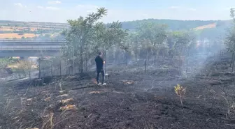 Kırklareli'nde Ağaçlık Alanda Yangın Çıktı, Zamanında Müdahale İle Söndürüldü
