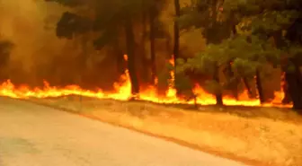 Çanakkale'de Orman Yangını: 3 Köy Tahliye Edildi