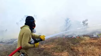 Bolu'nun Göynük ilçesinde orman yangını kontrol altına alındı