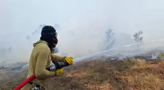 Bolu'da Orman Yangınına Hava ve Karadan Müdahale