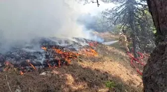 Bolu'da Orman Yangını: Havadan ve Karadan Mücadele Devam Ediyor