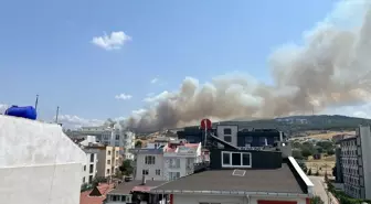 Çanakkale'de Orman Yangını Kontrol Altına Alınmaya Çalışılıyor